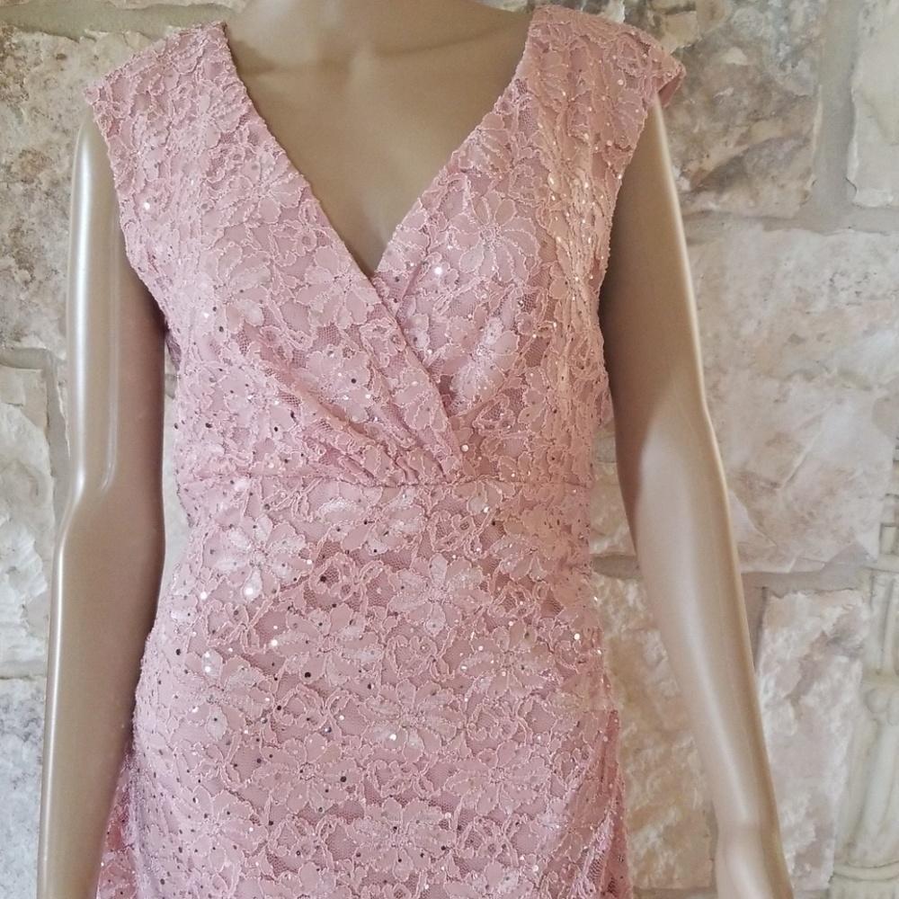 Beautiful Pink Lace & Sequin Dress - Picture 2 of 4